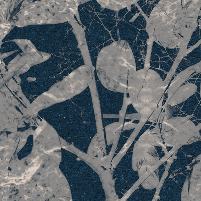 Branch