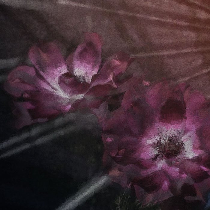 Flemish Flowers