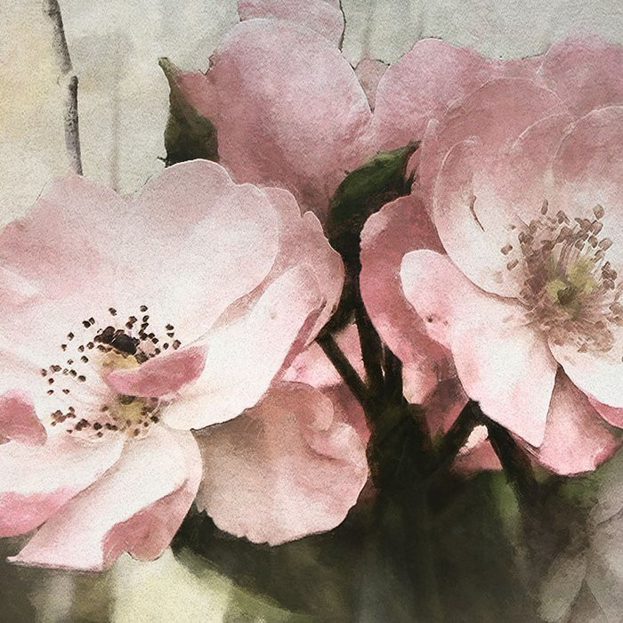 Flemish Flowers