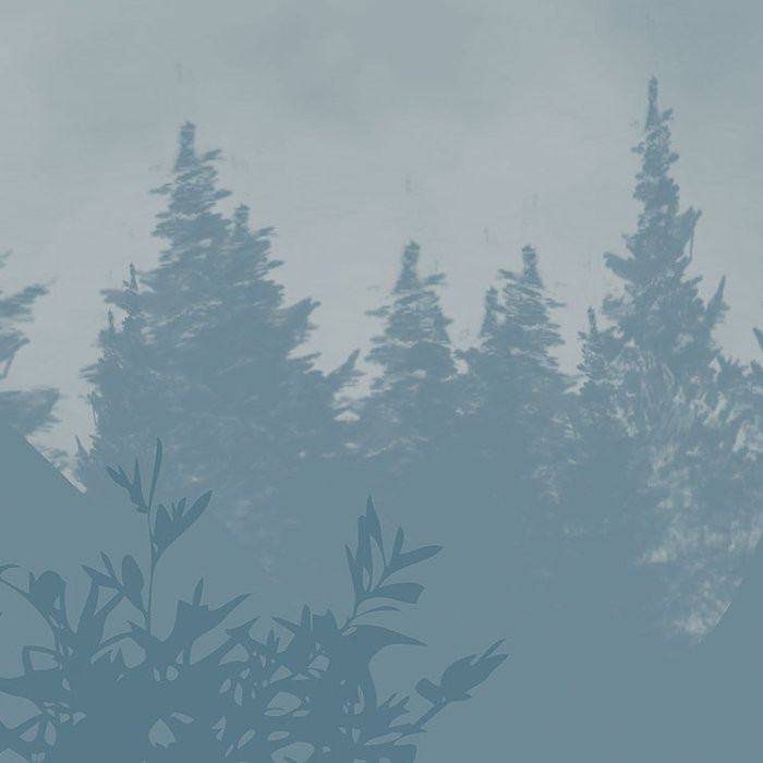 Blue Valley
