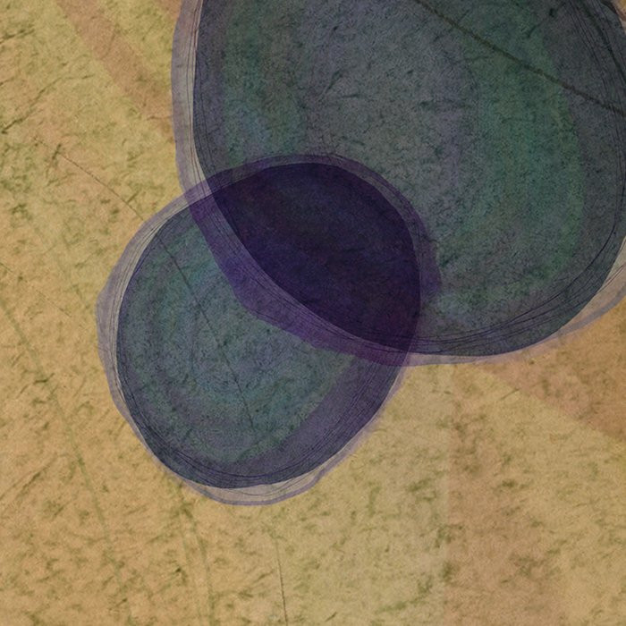 Microcosmos