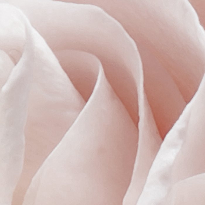 Floral Pur