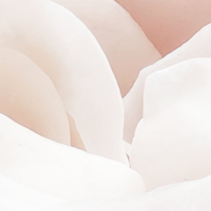 Floral Pur