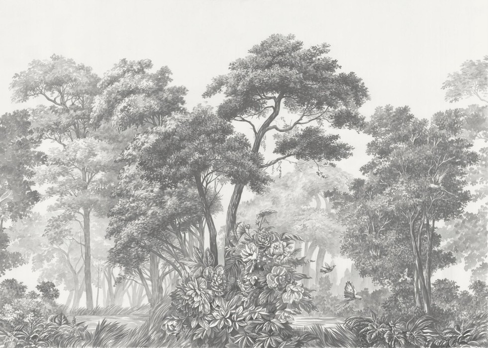 Naturgraphik
