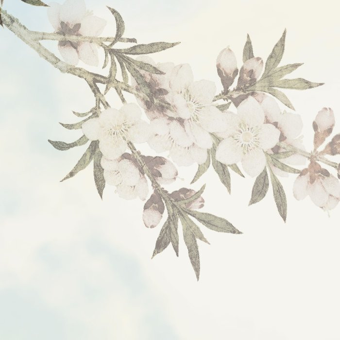 Frühlingsblüte