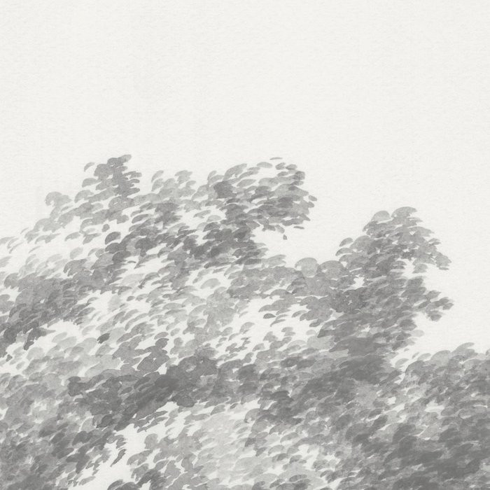 Glade