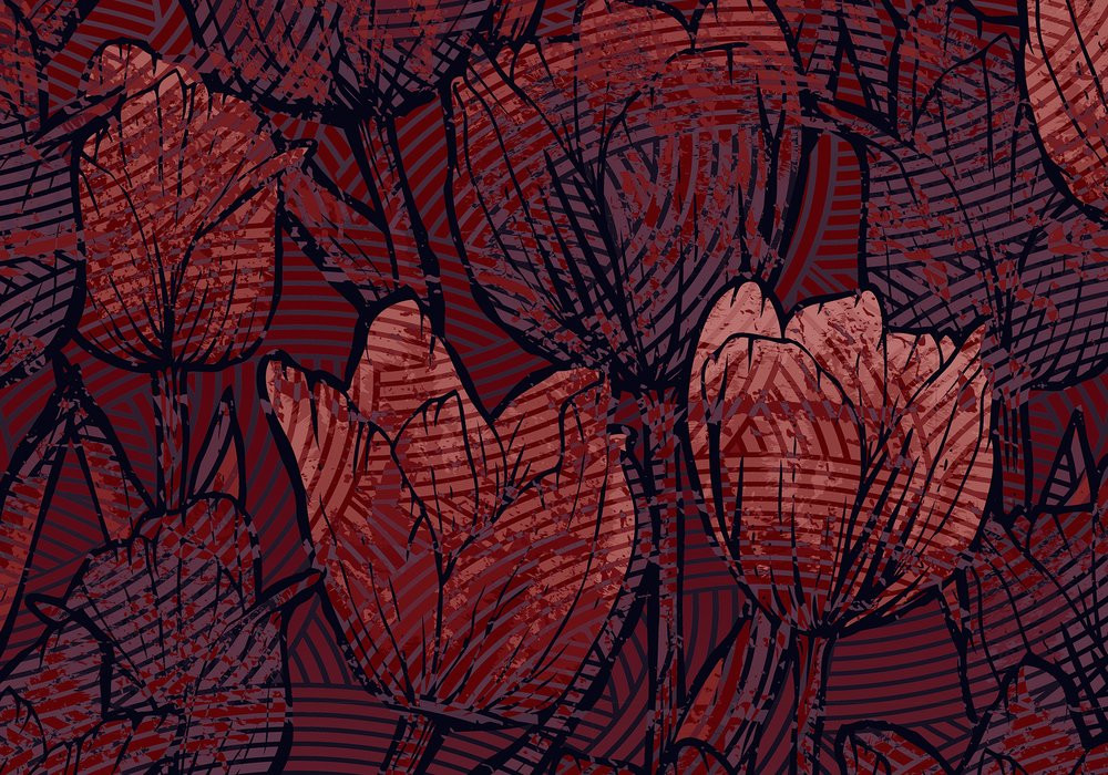 Tulipe
