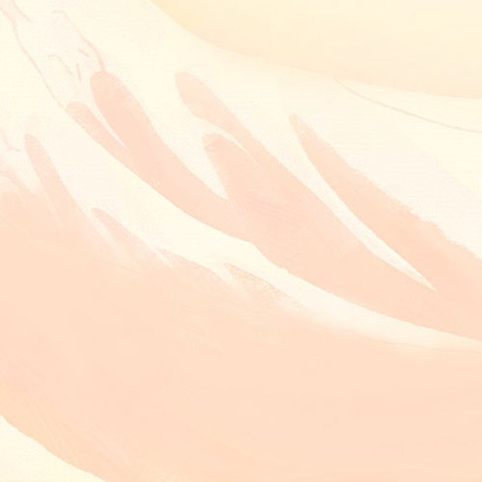 Whale Voyage