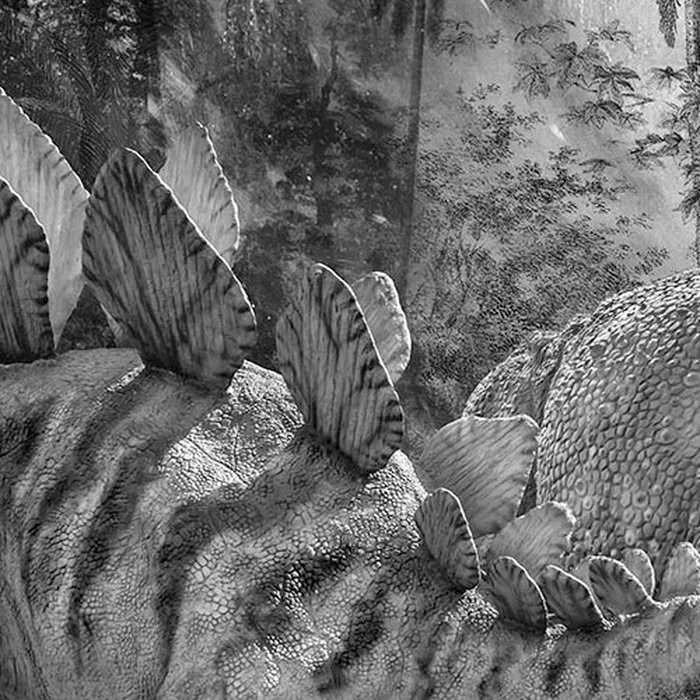 Jurassic Waterfall