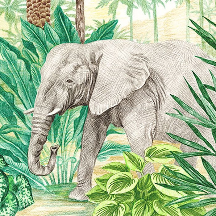 Jungle Adventure