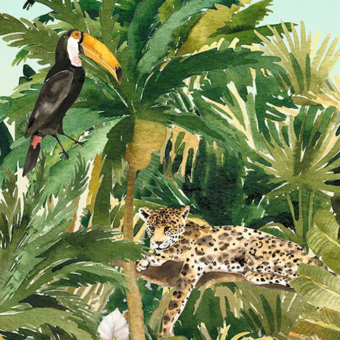 Jungle Expedition
