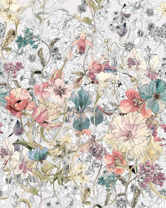 Magic Meadow