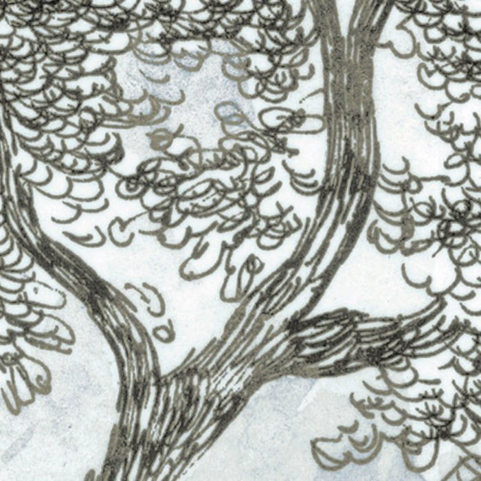 Rising Roots