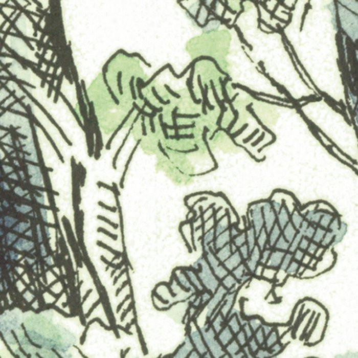 Forest Fairy