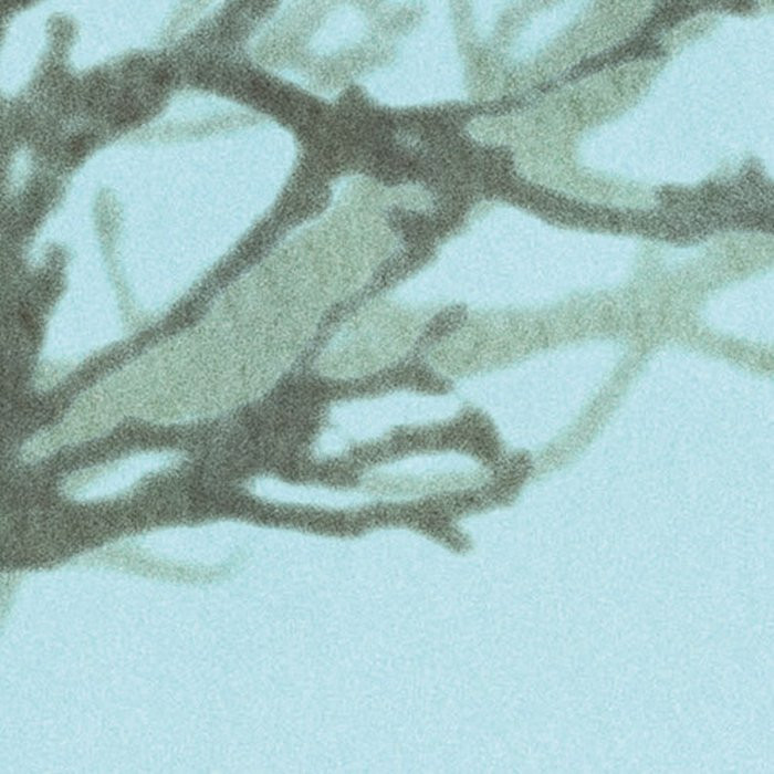 Whispering Woods