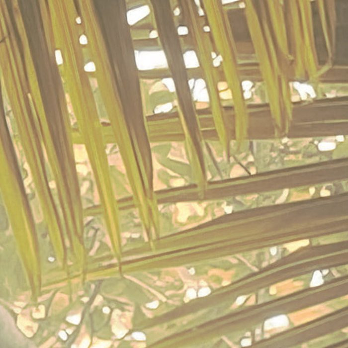 Palms Panorama