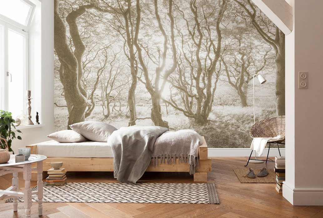 Bleached Birch