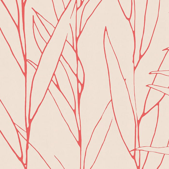 Plain