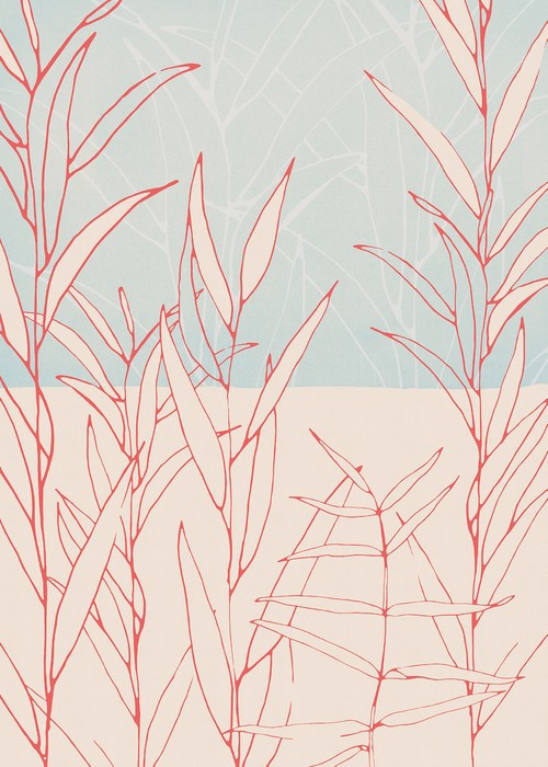 Plain