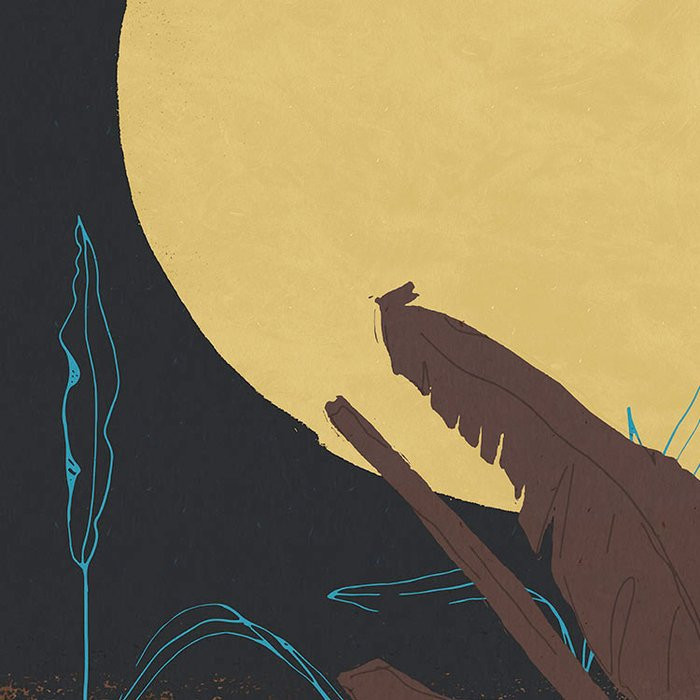 Supermoon