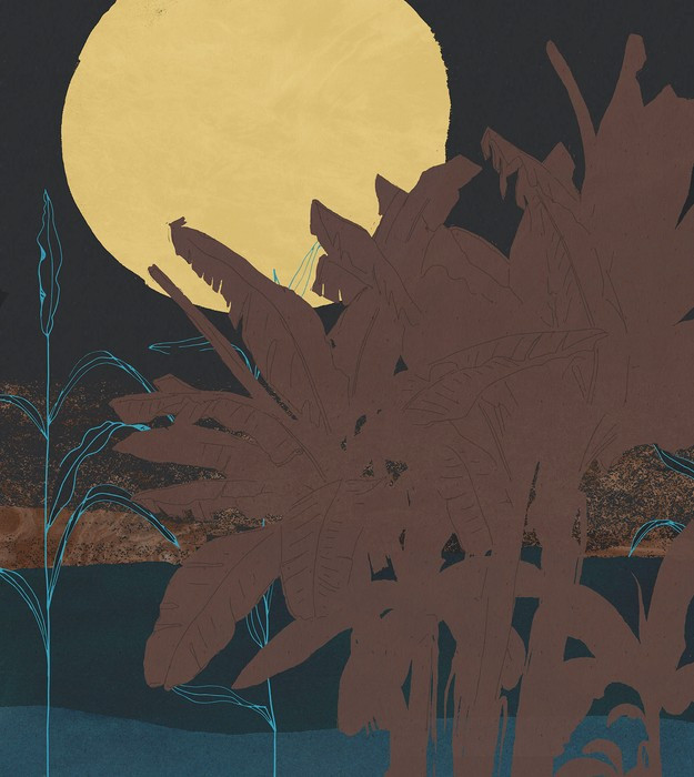 Supermoon