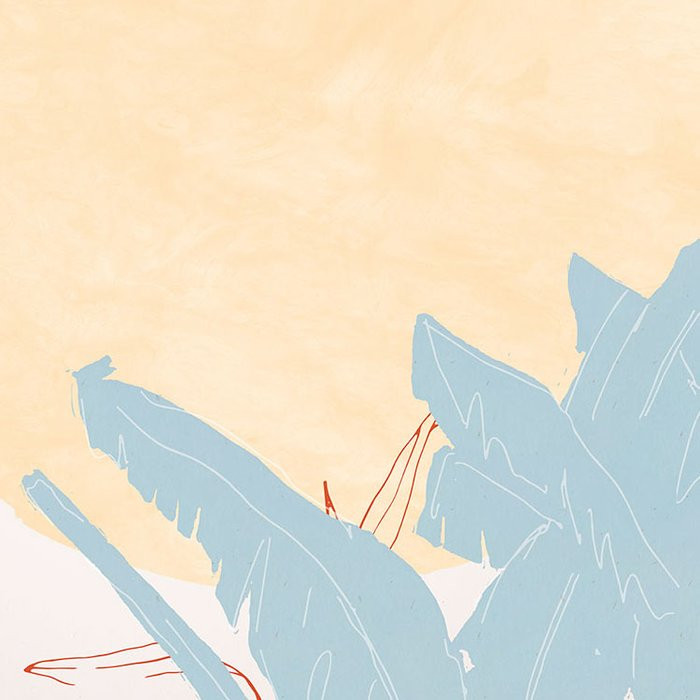 Banana Leaves