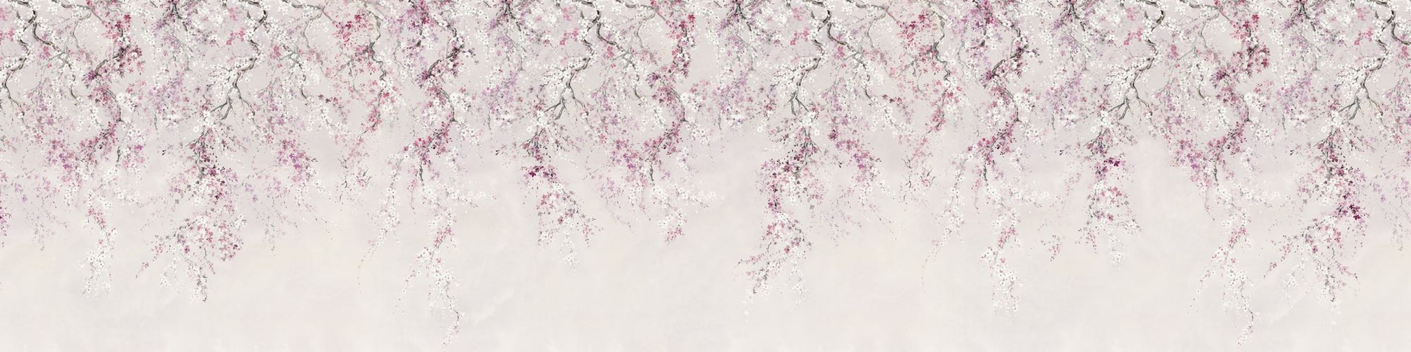 Kirschblüten