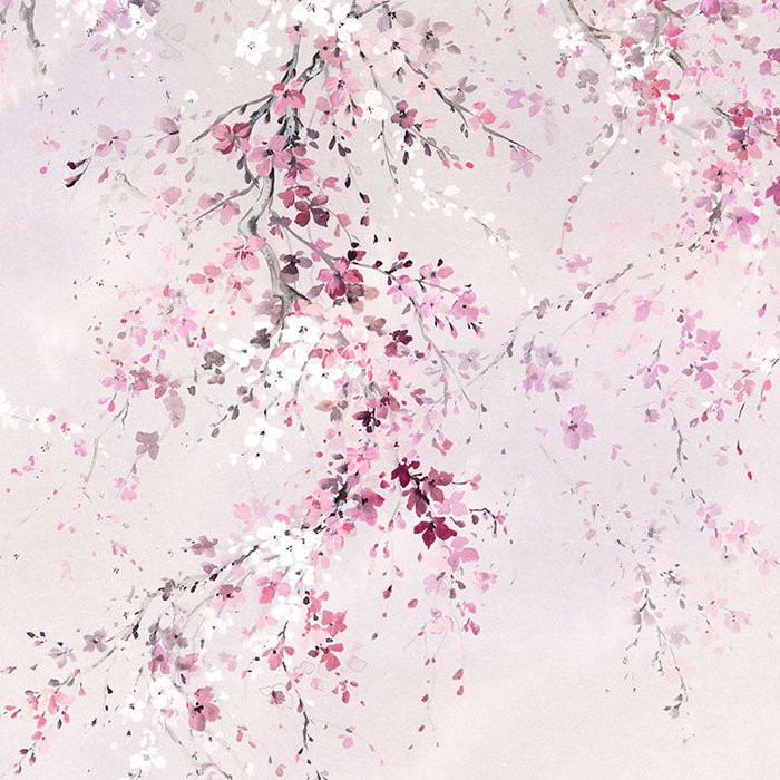 Kirschblüten