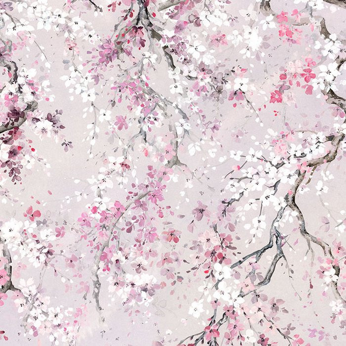 Kirschblüten