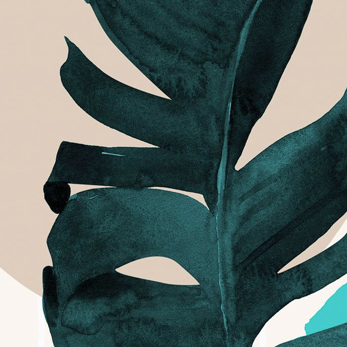 Tropical Shapes