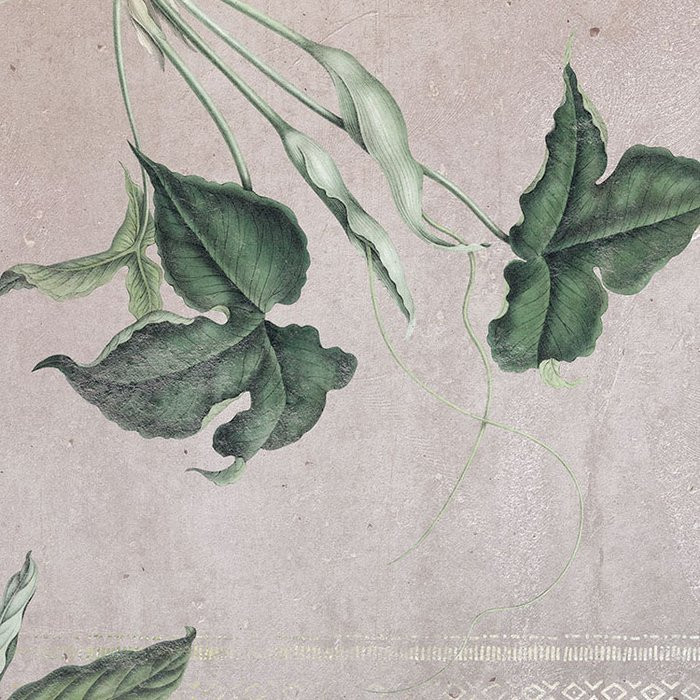 Tropic Concrete