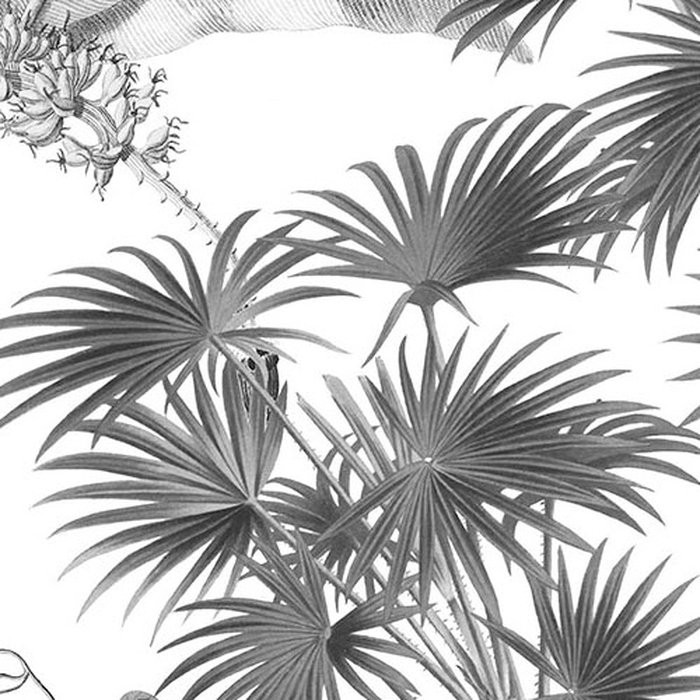 Croissances Monochrome