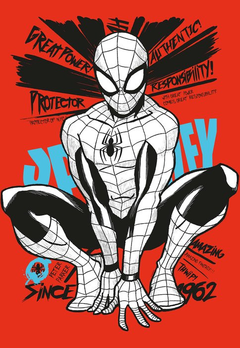 Spider-Man Protector of NYC