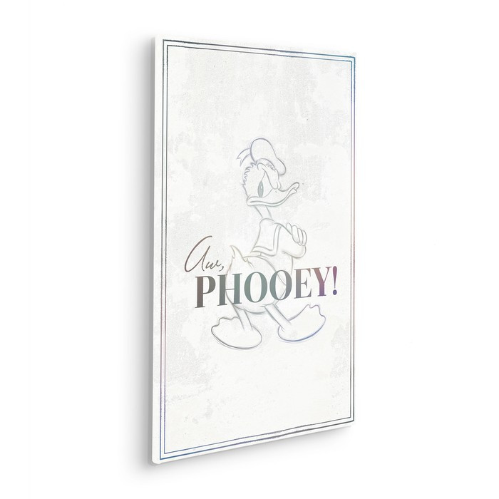 Donald Duck Phooey!