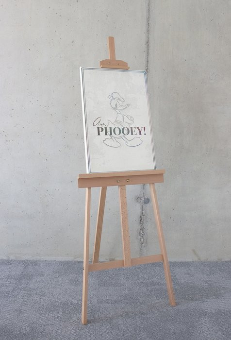 Donald Duck Phooey!