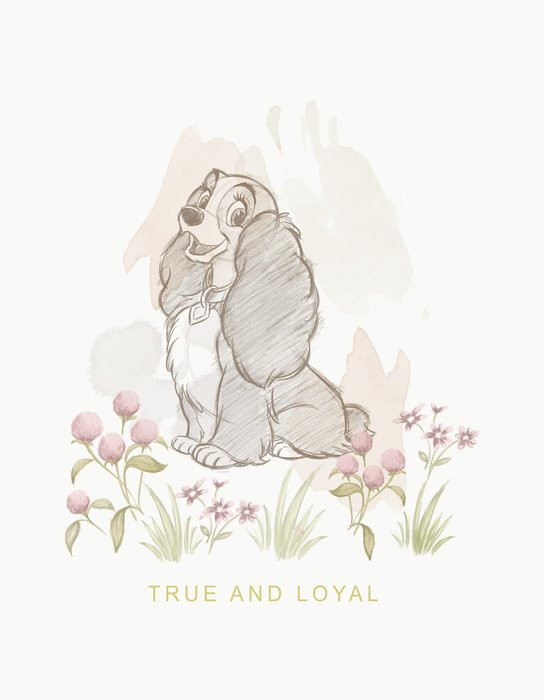 Disney Lady and the Tramp True and Loyal