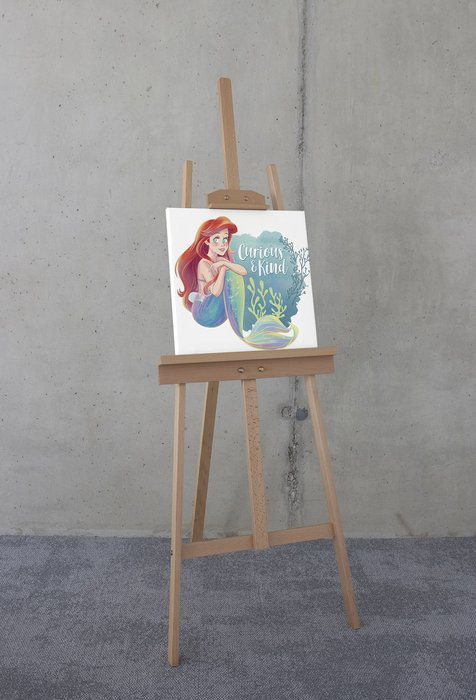 Disney Ariel Curious & Kind