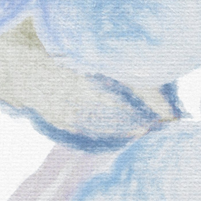 Bleu Ciel