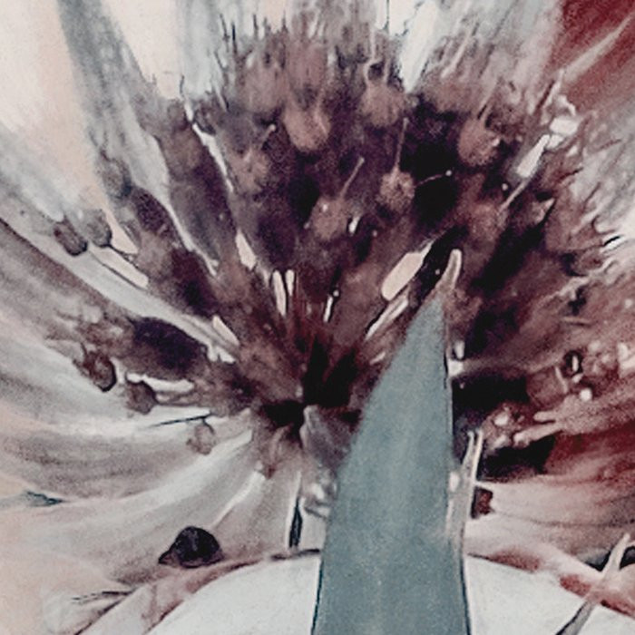 Blossom Clouds