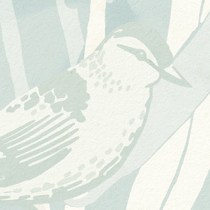 Reed