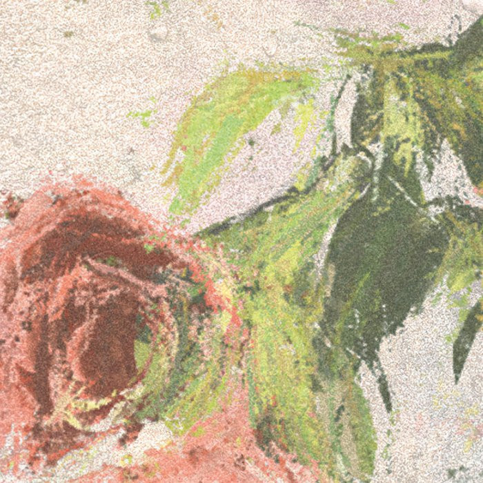 Wall Roses