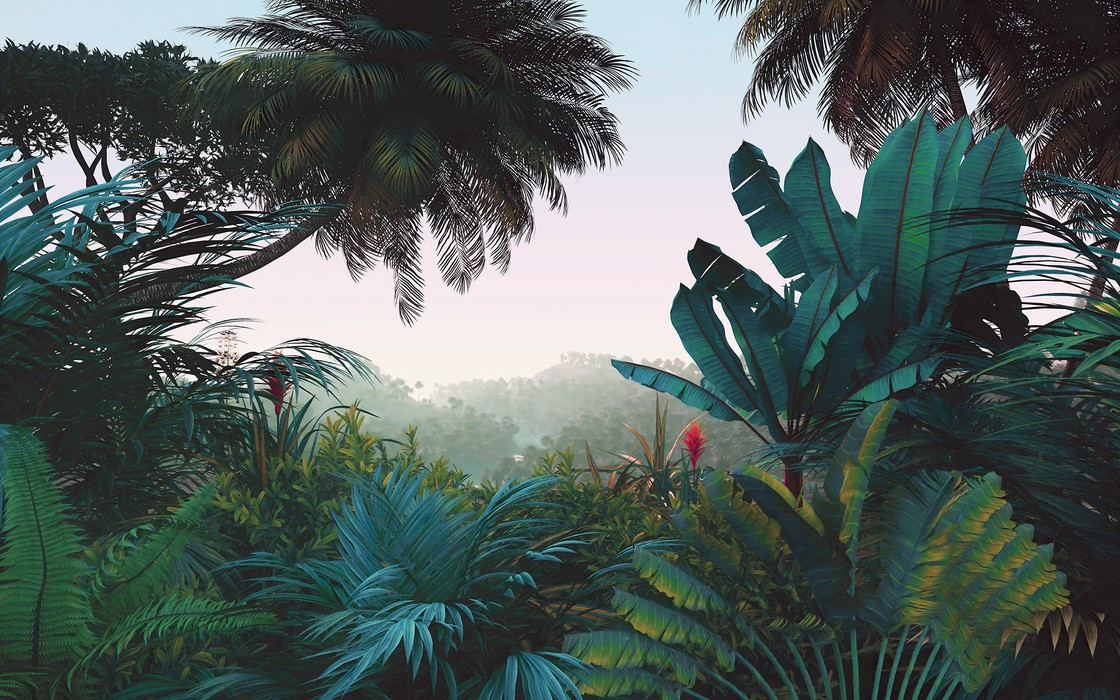 Jungle Morning