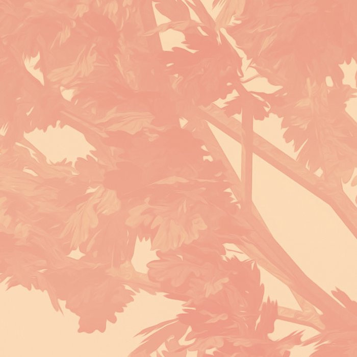 Heartwood