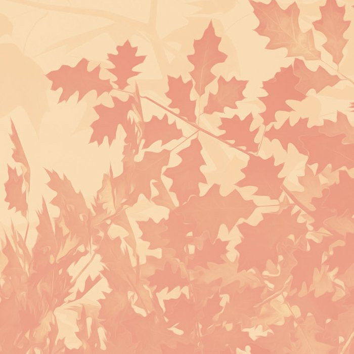 Heartwood