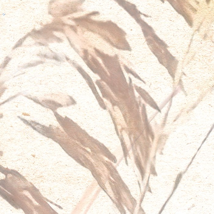 Dune Grass