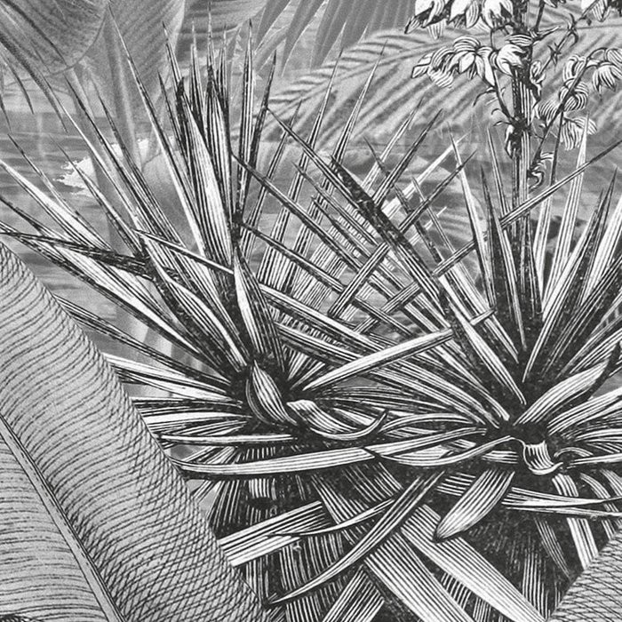 Amazonia Black and White