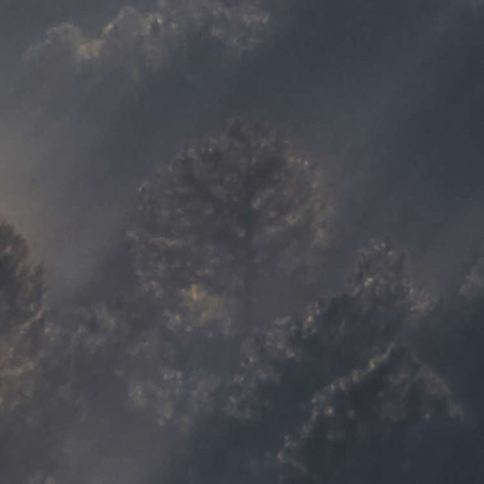 Rays