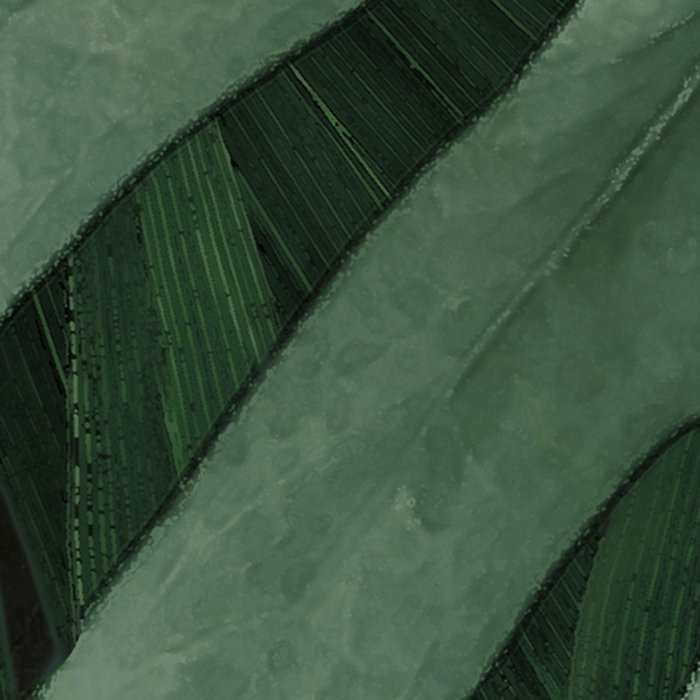 Monstera on Marble