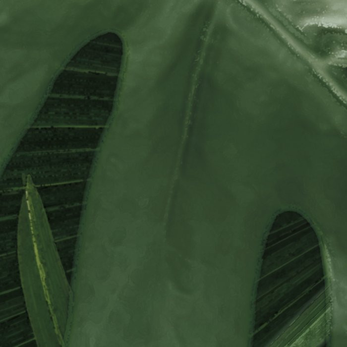 Monstera on Marble