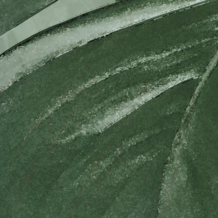 Monstera on Marble